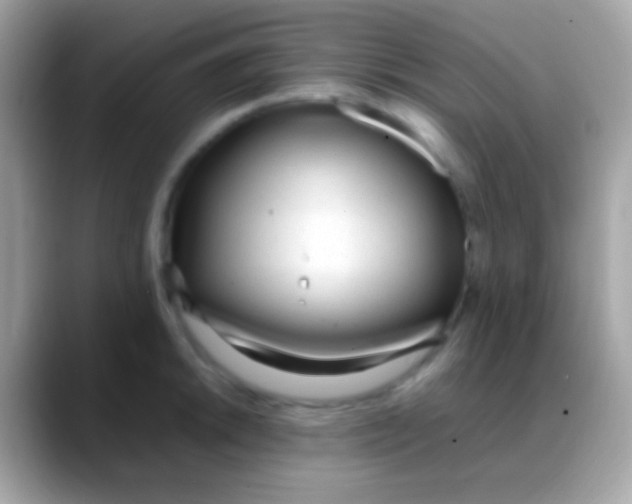 X0000088051046200706011338