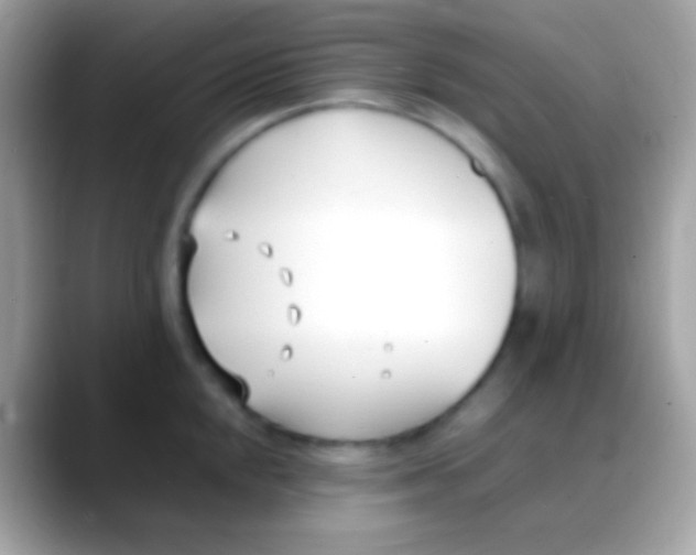 X0000088051048200706011339