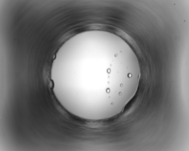 X0000088051049200706011339