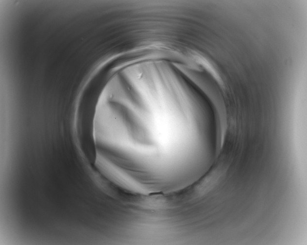 X0000088051050200706011339