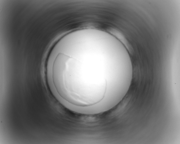 X0000088051051200706011339