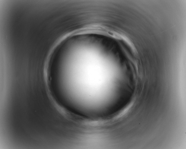 X0000088051054200706011339