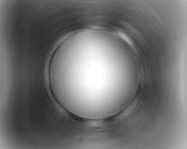 X0000088051055200706011339