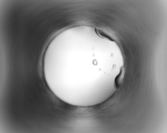 X0000088051056200706011339