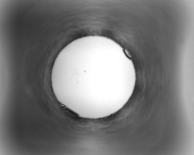X0000088051057200706011338