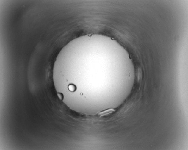 X0000088051059200706011338