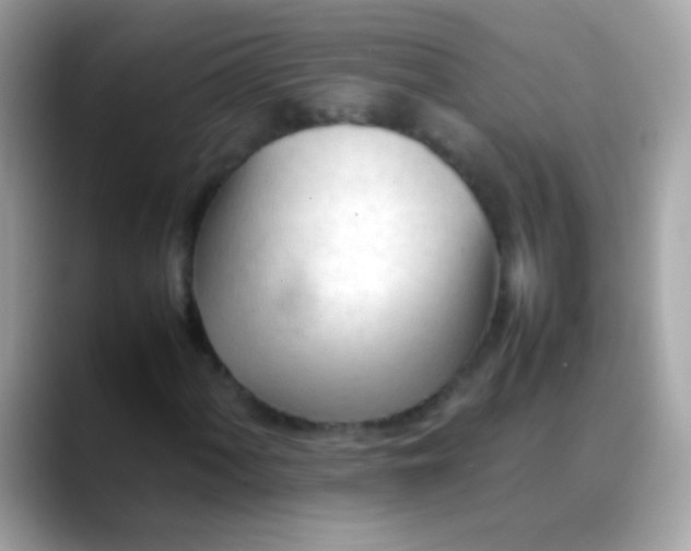 X0000088051060200706011338