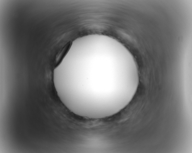 X0000088051061200706011338