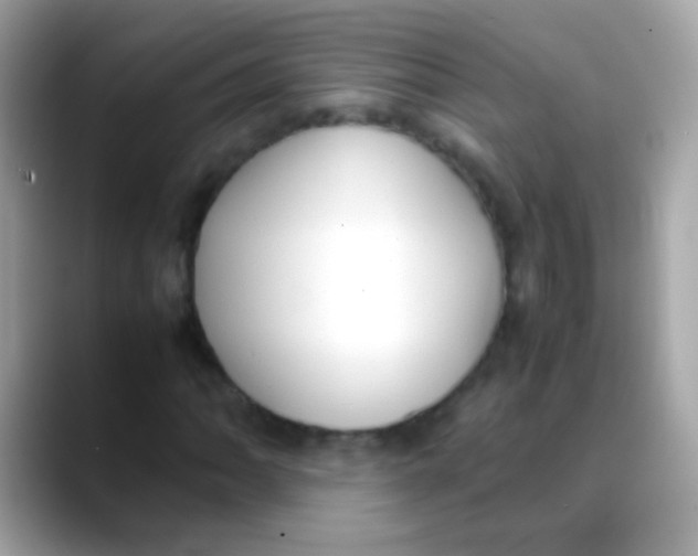 X0000088051062200706011338