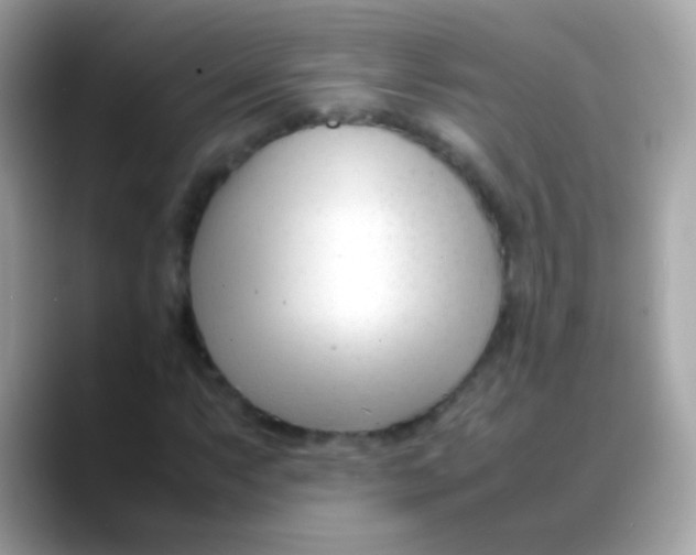 X0000088051063200706011338