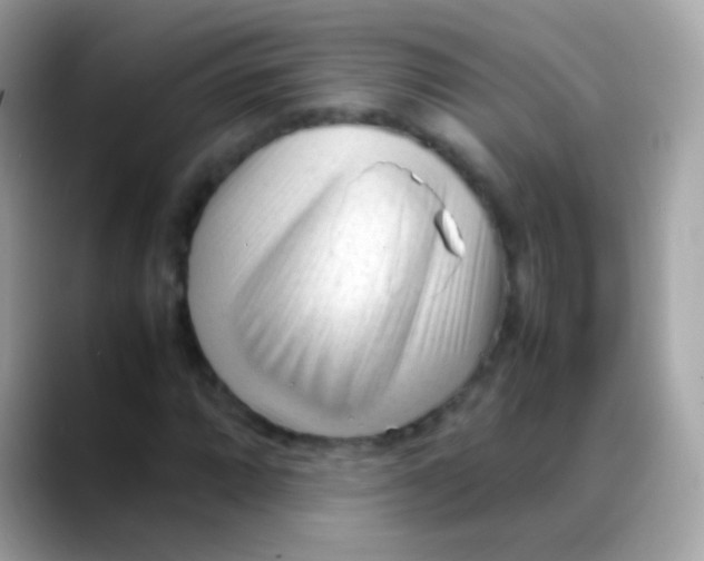 X0000088051064200706011338