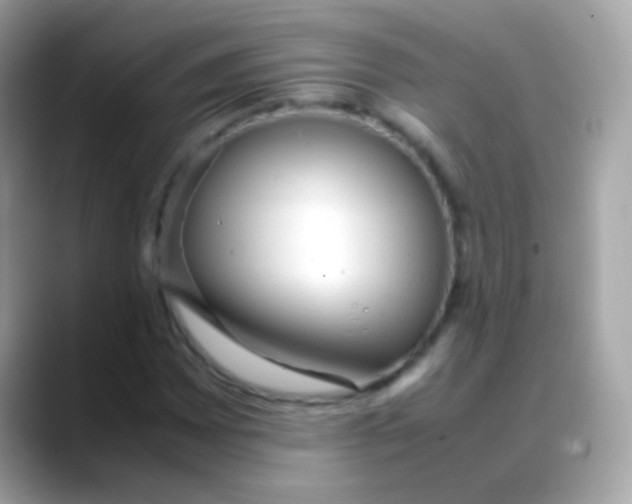 X0000088051065200706011338