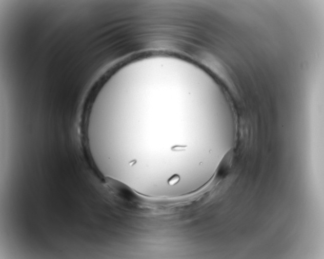 X0000088051068200706011338