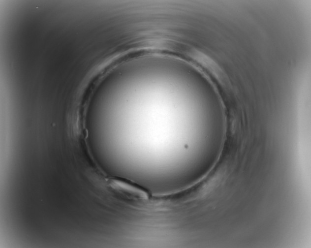 X0000088051069200706011338