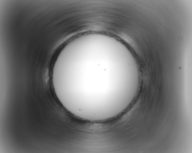 X0000088051070200706011338