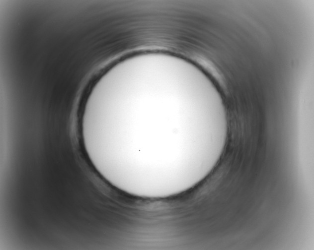 X0000088051072200706011338