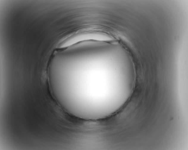 X0000088051073200706011338