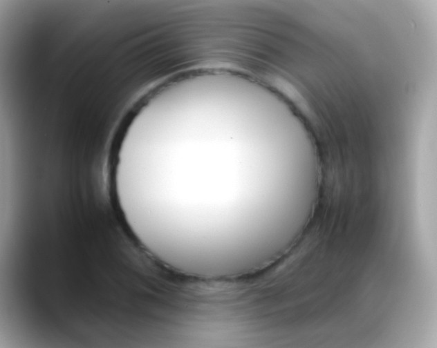 X0000088051076200706011338