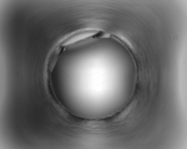 X0000088051077200706011338