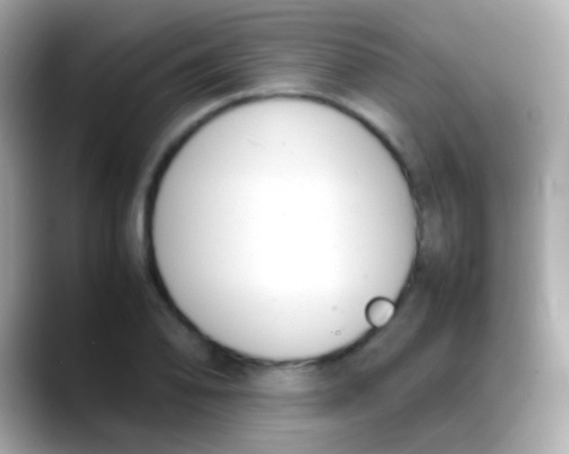 X0000088051078200706011338