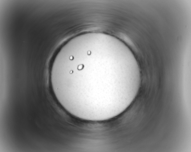X0000088051079200706011338