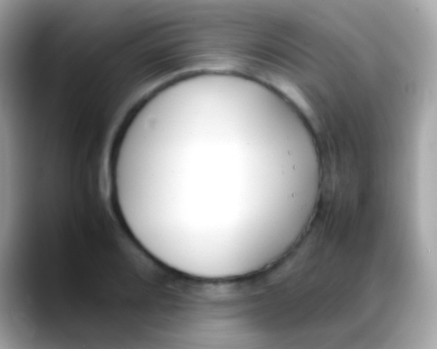 X0000088051080200706011338