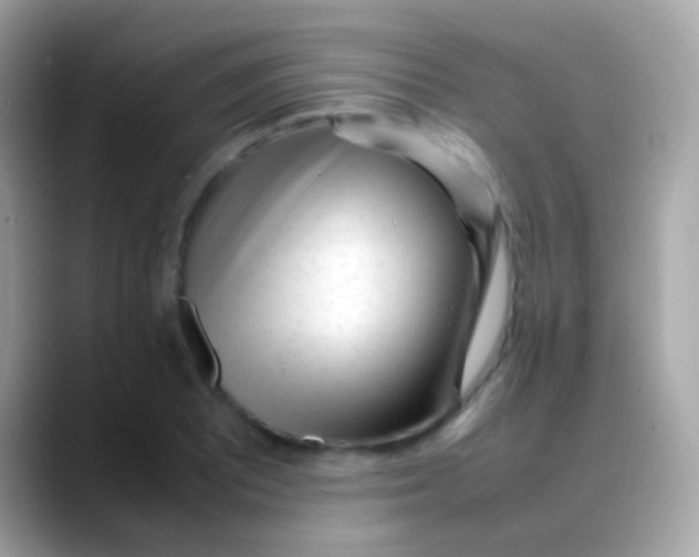 X0000088051081200706011338