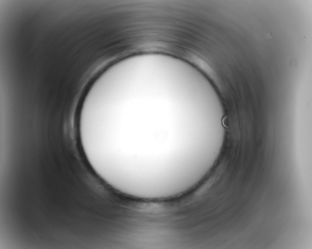 X0000088051082200706011338