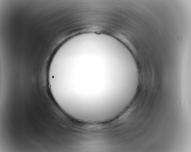 X0000088051083200706011338