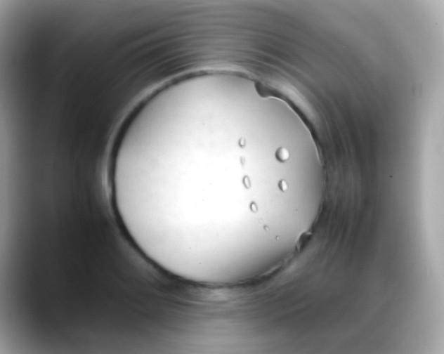 X0000088051084200706011338