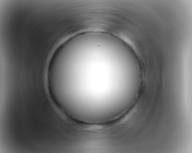 X0000088051085200706011338
