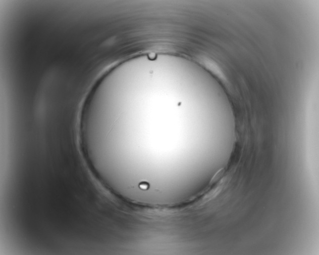 X0000088051087200706011338