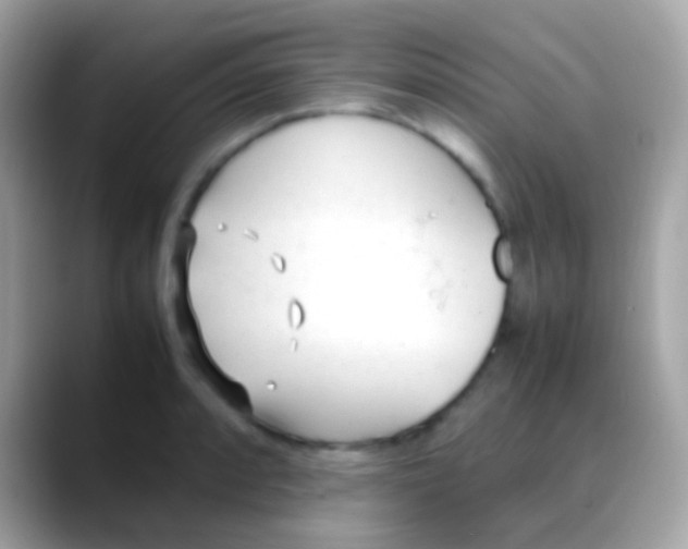 X0000088051088200706011338