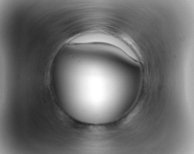 X0000088051089200706011338