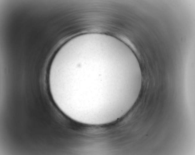 X0000088051091200706011338