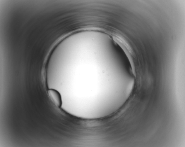 X0000088051092200706011338