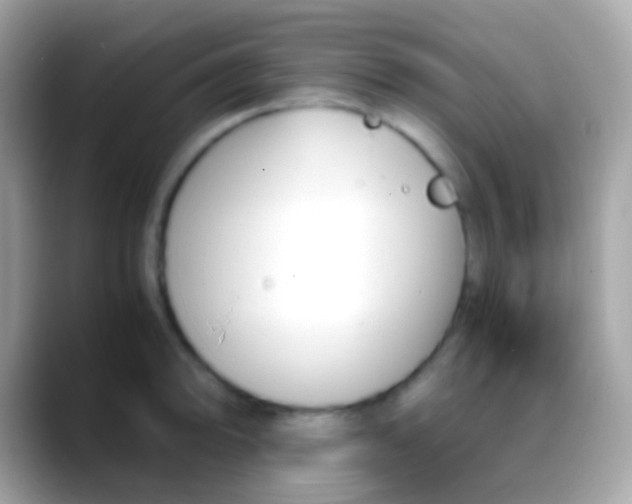 X0000088051094200706011338