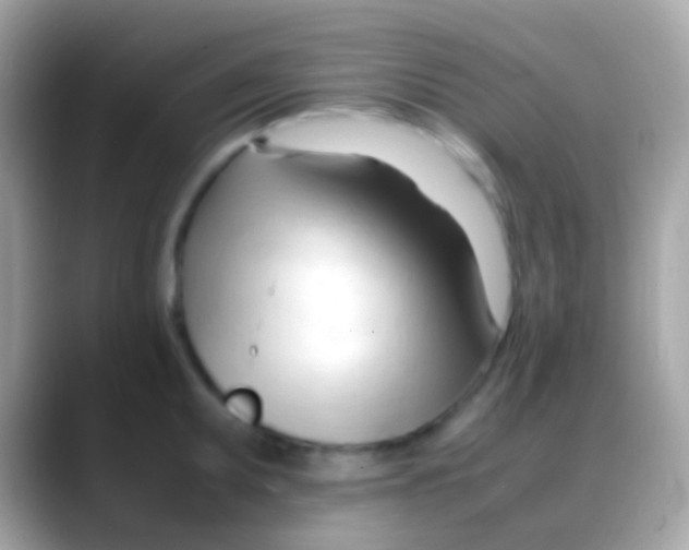 X0000088051095200706011338