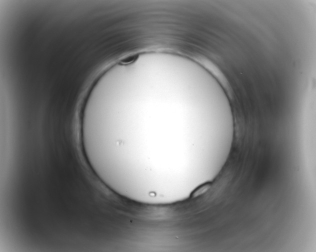 X0000088051096200706011338
