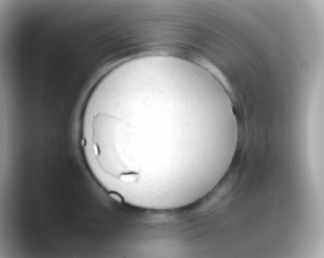 X0000088051099200706011338