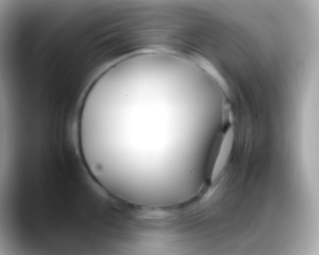 X0000088051100200706011338