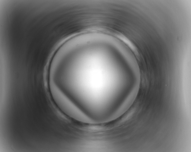 X0000088051102200706011338