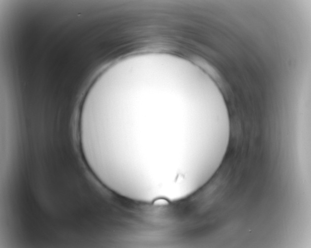 X0000088051103200706011338