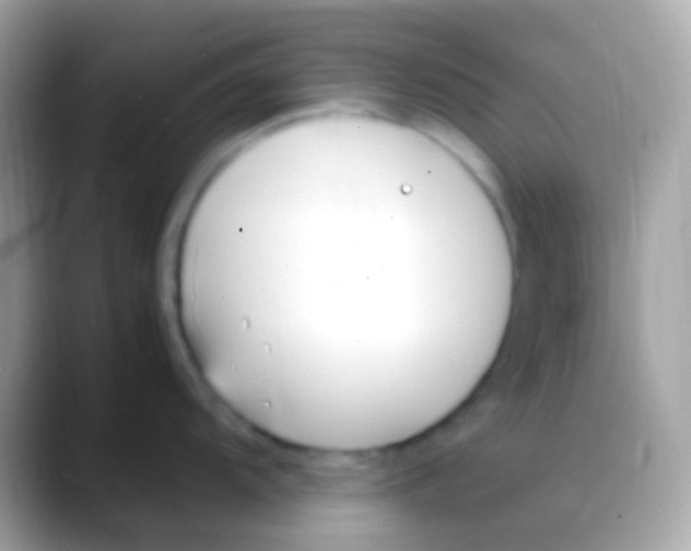 X0000088051104200706011337