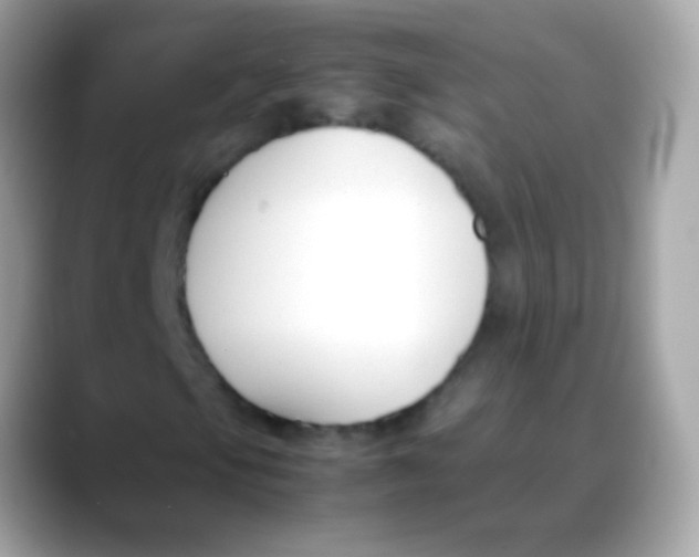 X0000088051105200706011337