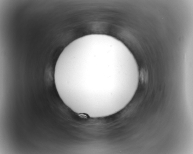 X0000088051107200706011337