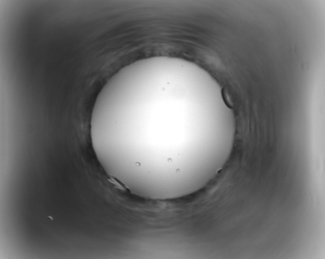X0000088051109200706011337