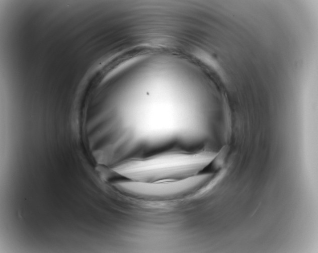 X0000088051114200706011337