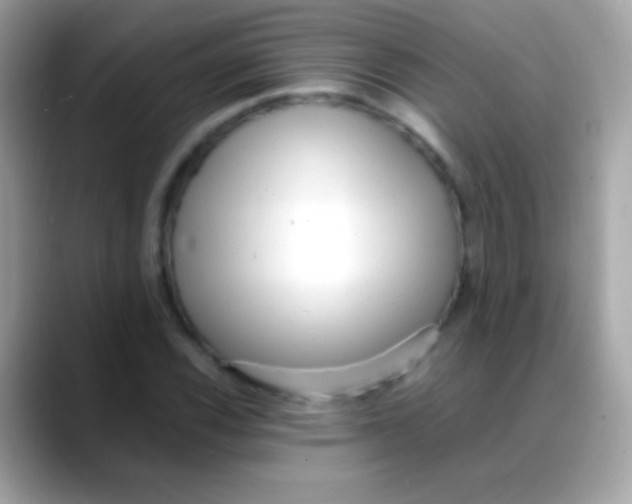 X0000088051116200706011337