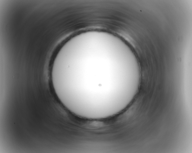 X0000088051119200706011337